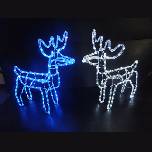̔I@LED[vgiJC@1